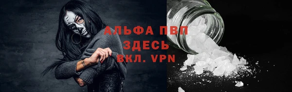 дживик Бронницы