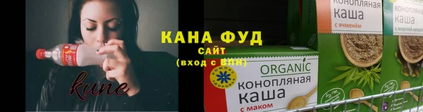 дживик Бронницы
