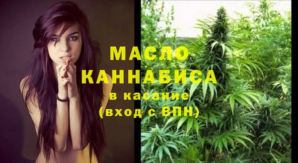 дживик Бронницы
