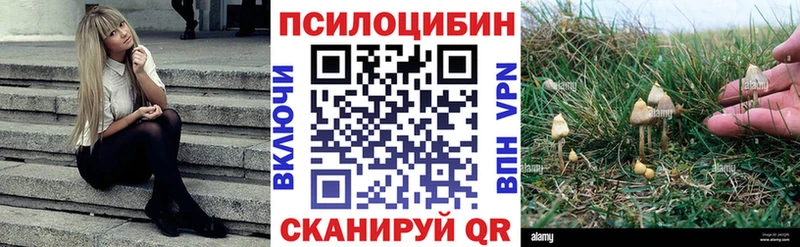 Купить закладки  Кинешма  Галлюциногенные грибы Psilocybine cubensis 