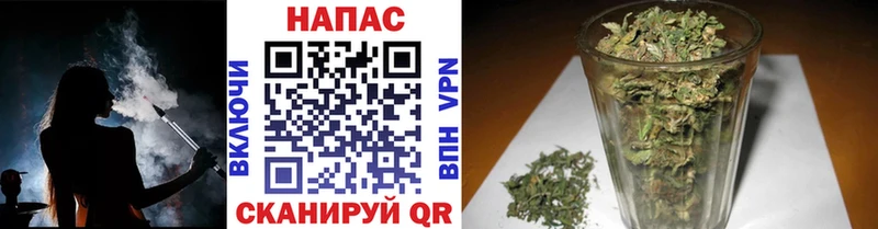 Купить где  Кинешма  Каннабис индика 
